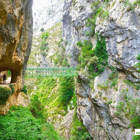 منزل الضيف Casas Rurales De Caín المظهر الخارجي الصورة