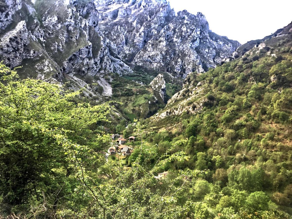 منزل الضيف Casas Rurales De Caín المظهر الخارجي الصورة
